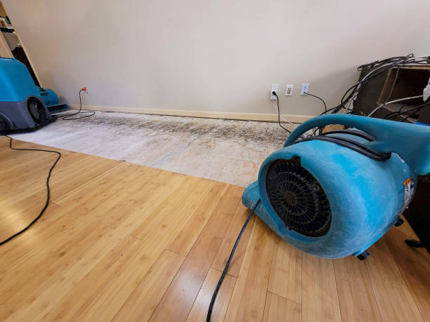 Professional Water Damage Repair technician working in Johnsonville, NY